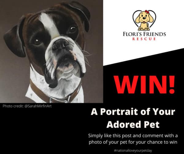 Pet Portrait competition FB (1)