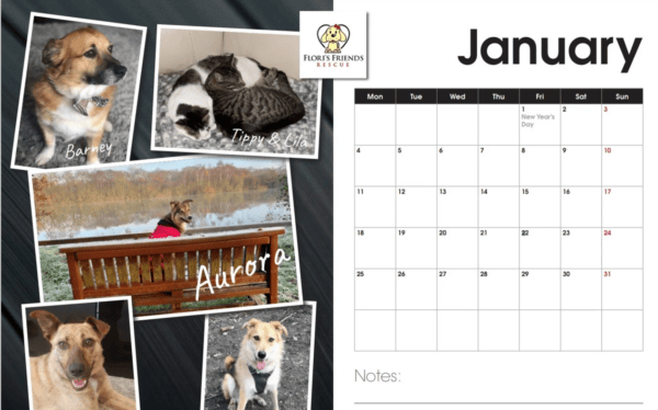 Flori's Limited Edition calendar featuring their adopted cats and dogs