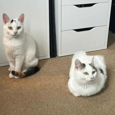 6d1d8b96-62cb-4acd-808a-cbbbc192e335