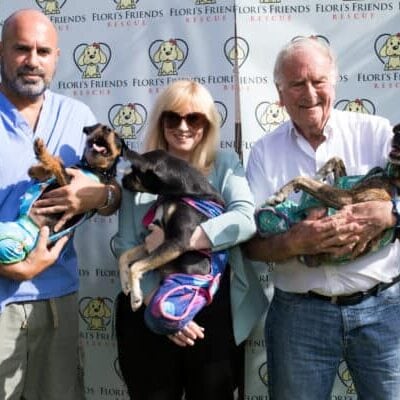 Marc Abraham OBE, Rosie Duffield MP and Sir Roger Gale MP, holding disabled dogs from Flori's Friends Rescue