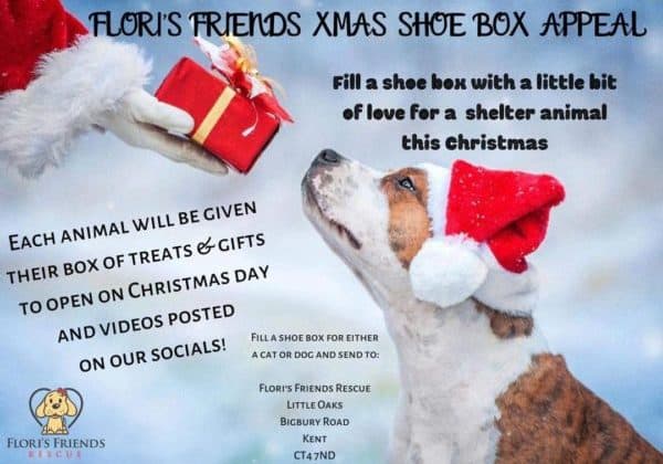 Flori's xmas shoe box poster Xmas shoe box appeal