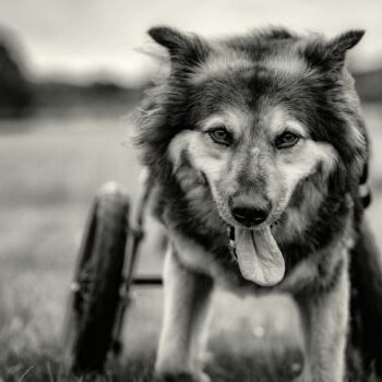 PHOTO-2025-10-10-11-30-04