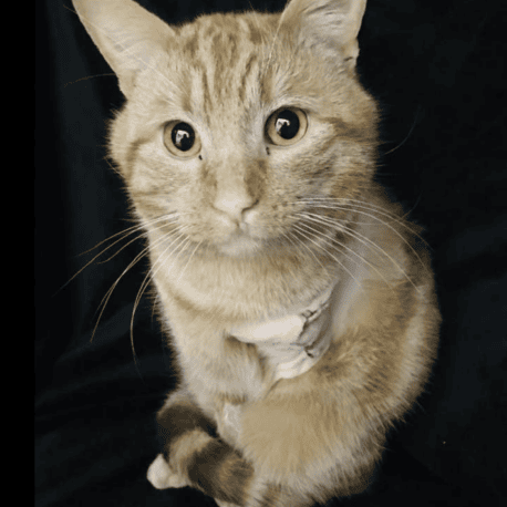 Screenshot 2026-04-04 at 13.40.04