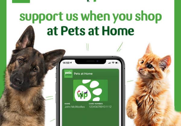 VIP Lifelines social post 2 Pets at Home VIP club