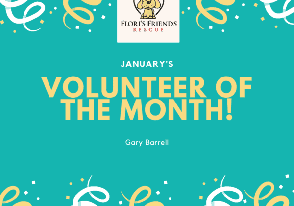 VOLUNTEER OF THE MONTH! (1) Flori's Volunteer of the Month