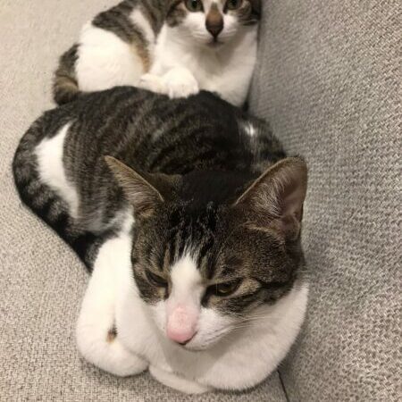 af6a6fc9-fd32-49c8-9983-53e97792d05b