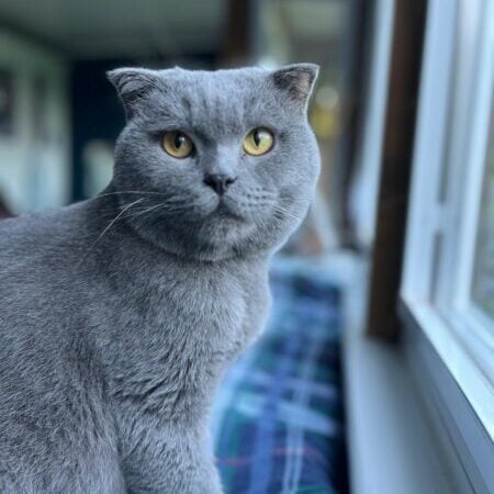 da393142-6ff3-4983-86f1-d969dac96772