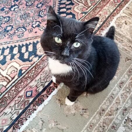 e404fd45-bcad-4644-99ff-1a7aebf2978d 2