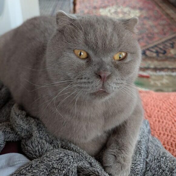 f8defc2e-ca38-4c01-9c6a-6245b539a047